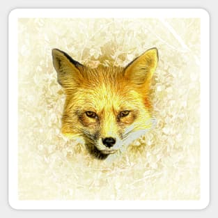 Red fox portrait Sticker